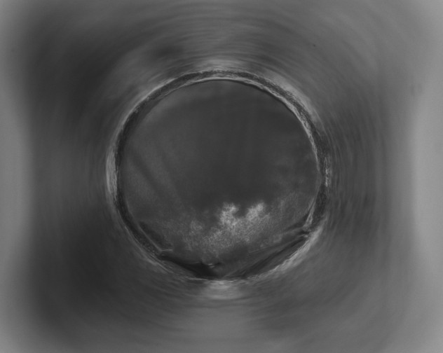 X0000102001117200807251240