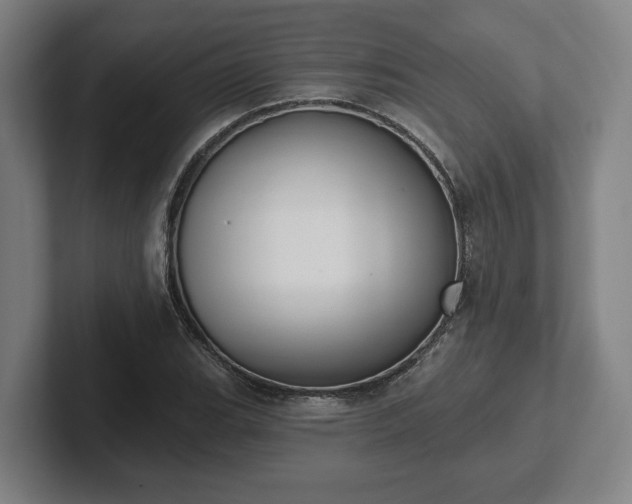 X0000102001119200807251240