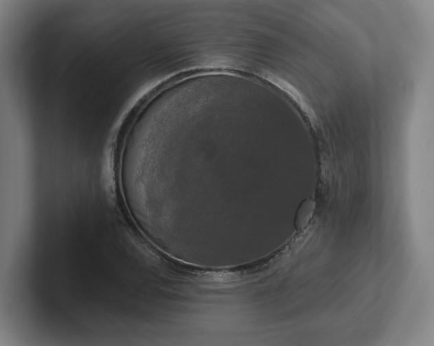 X0000102001120200807251240