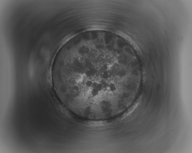 X0000102001121200807251240