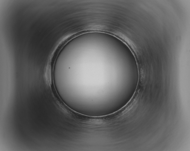 X0000102001123200807251240