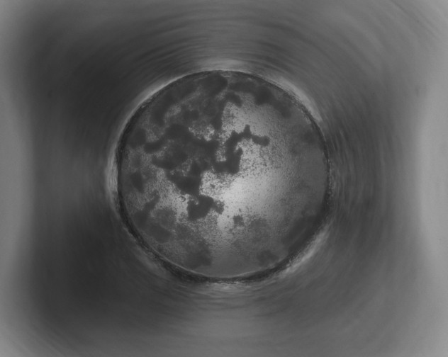 X0000102001125200807251240