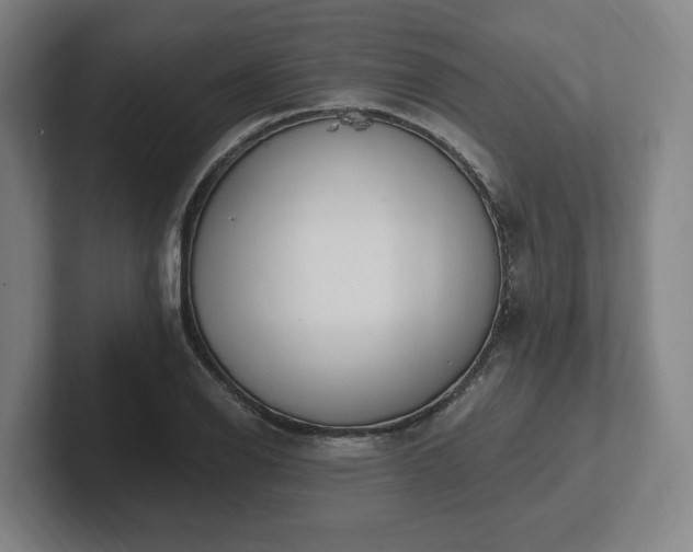 X0000102001126200807251240