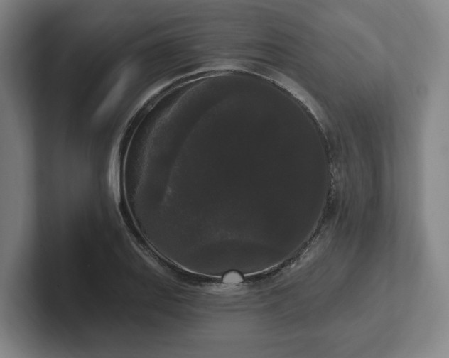 X0000102001127200807251240