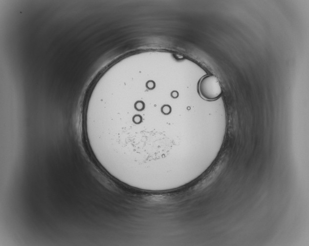 X0000102001130200807251241