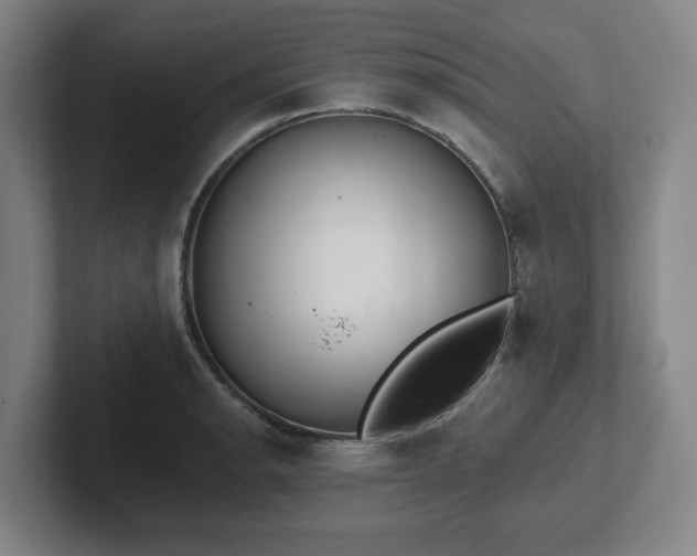 X0000102001134200807251241