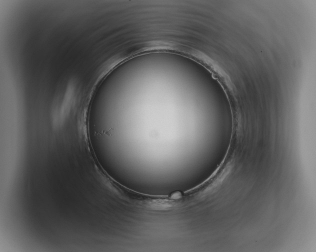 X0000102001137200807251241