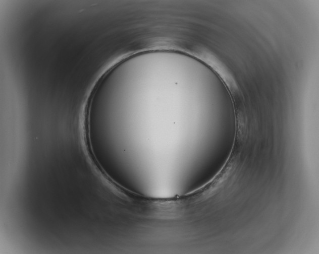 X0000102001142200807251241