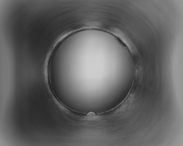 X0000102001143200807251241