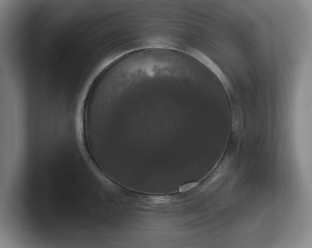 X0000102001144200807251241