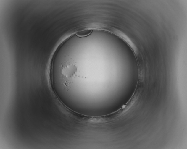 X0000102001146200807251241