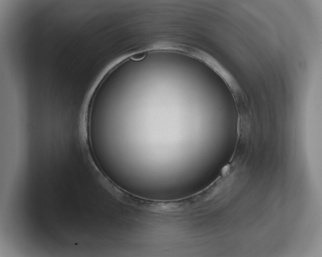 X0000102001148200807251241