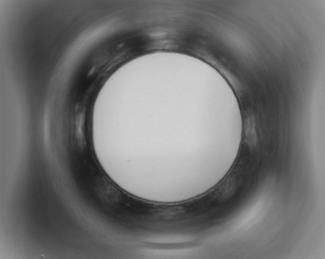 X0000102001150200807251241