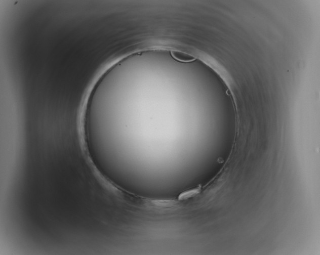 X0000102001152200807251241