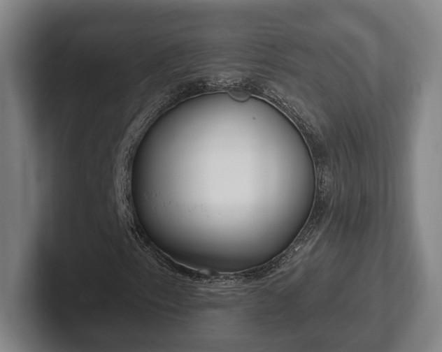 X0000102001153200807251240