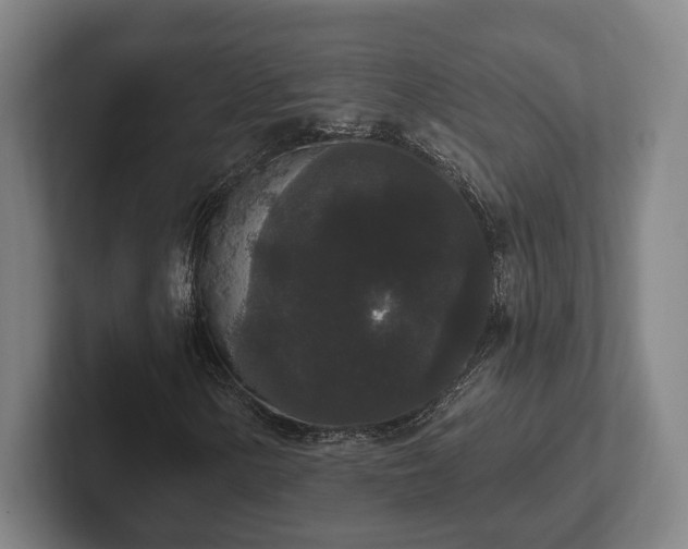 X0000102001154200807251240