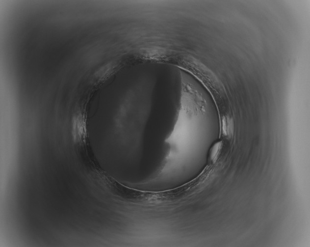 X0000102001155200807251240