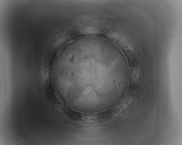 X0000102001157200807251240