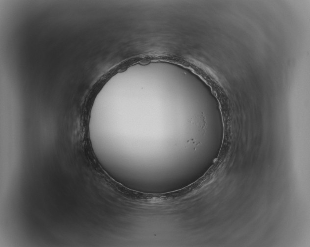 X0000102001160200807251240