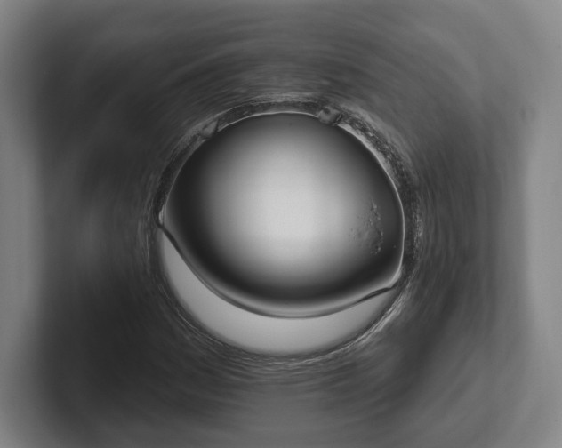 X0000102001161200807251240