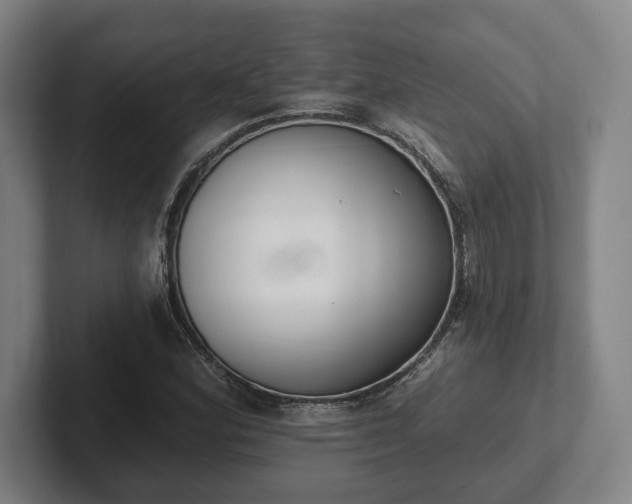 X0000102001164200807251240