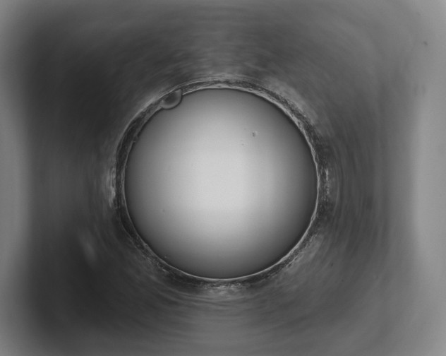 X0000102001165200807251240