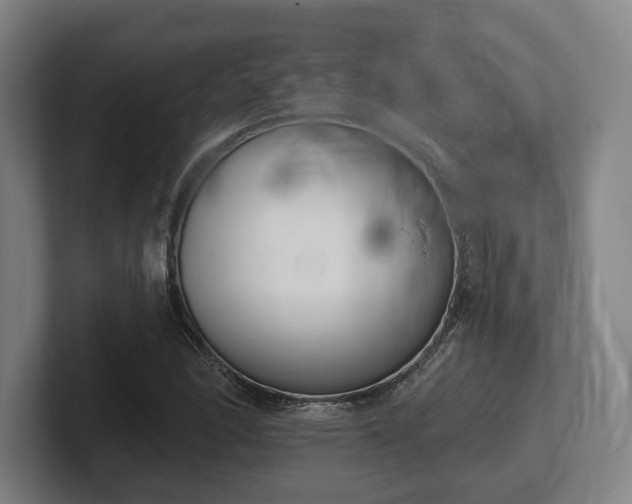 X0000102001166200807251240