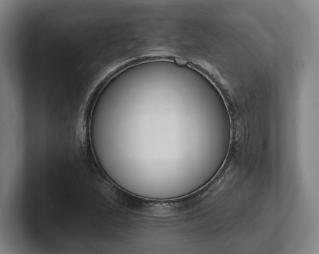 X0000102001167200807251240