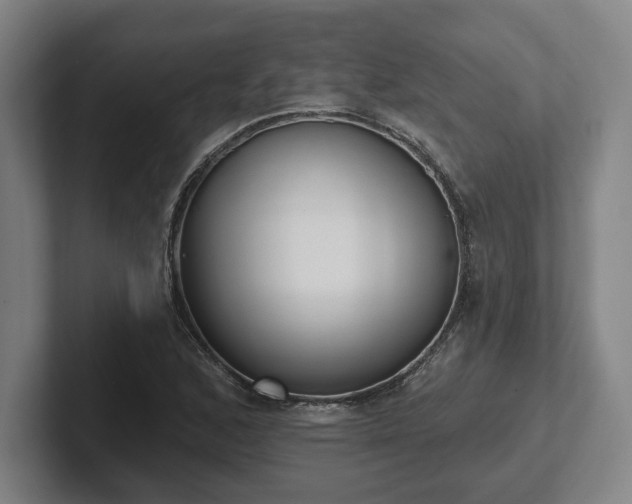 X0000102001168200807251240