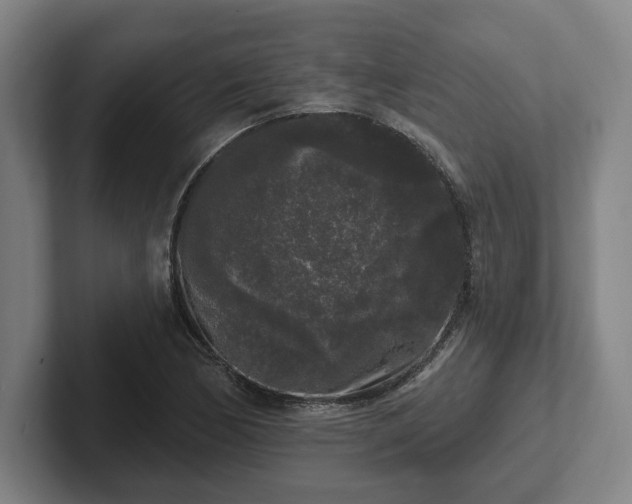 X0000102001170200807251240