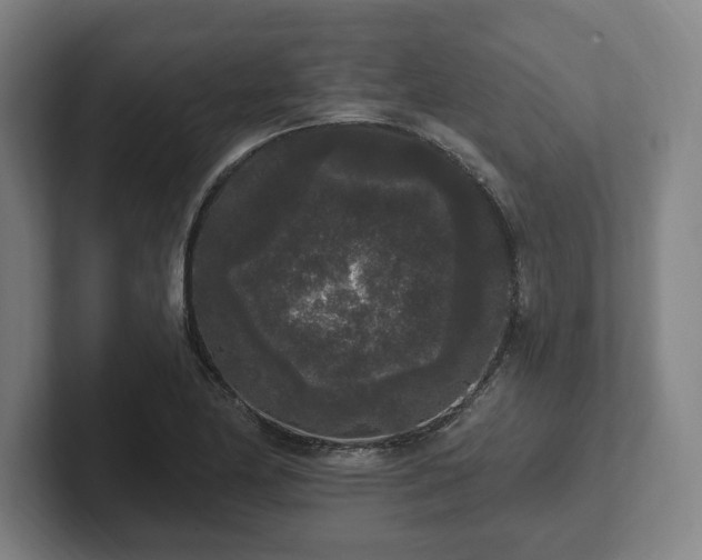 X0000102001174200807251240