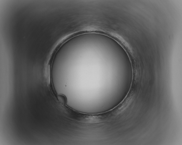 X0000102001175200807251240