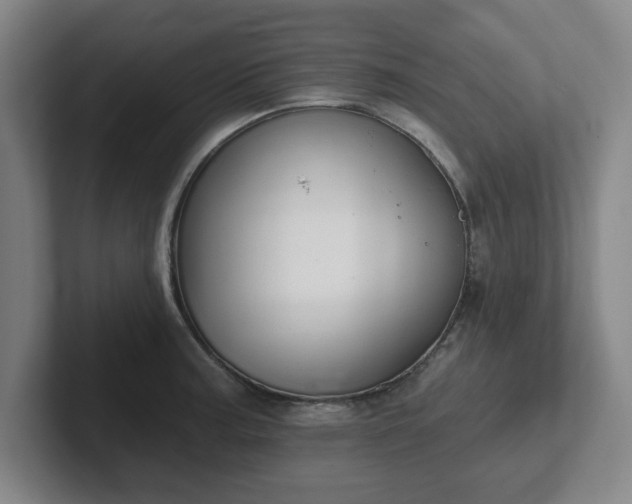 X0000102001187200807251240