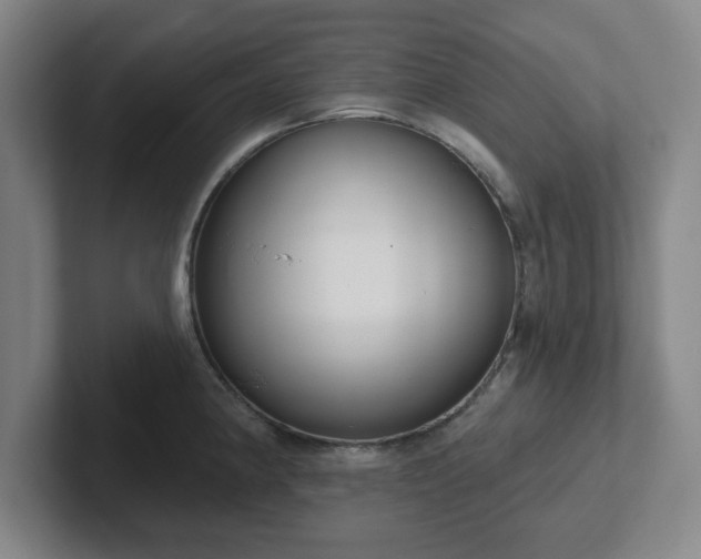 X0000102001190200807251240