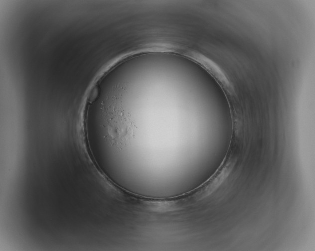 X0000102001192200807251240