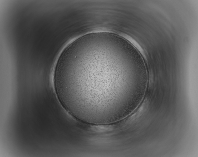 X0000102001197200807251240