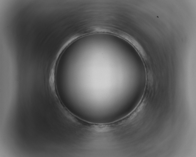 X0000102001198200807251240