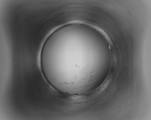 X0000102001199200807251240