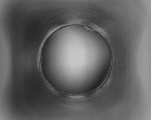 X0000102001200200807251240