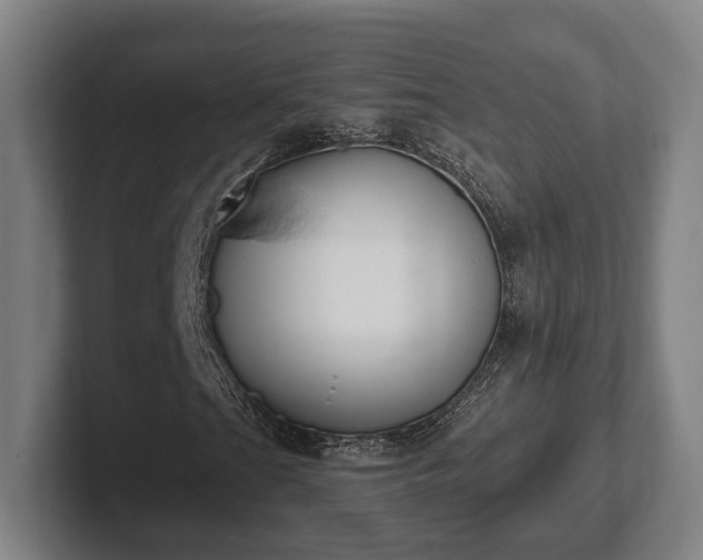 X0000102001201200807251239