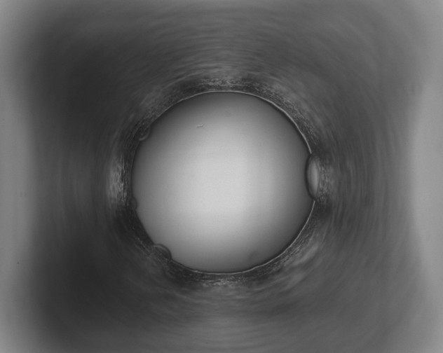 X0000102001202200807251239