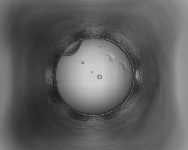 X0000102001203200807251239