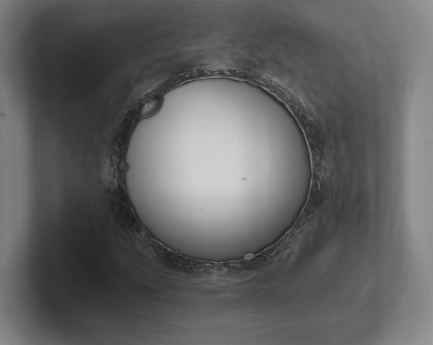 X0000102001207200807251239