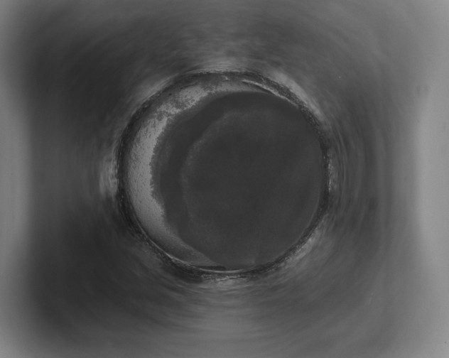 X0000102001213200807251239