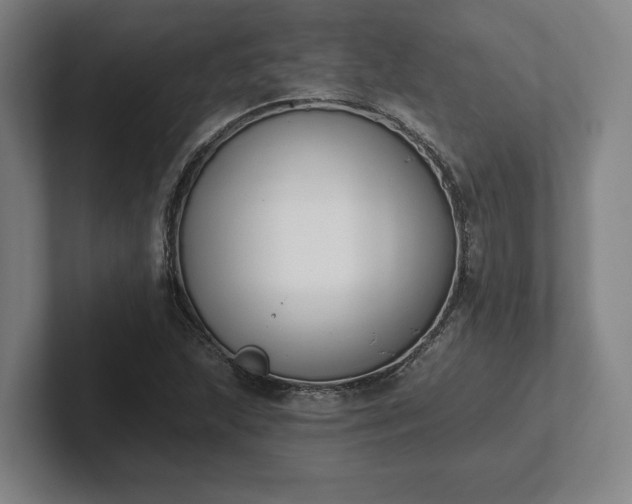 X0000102001215200807251239