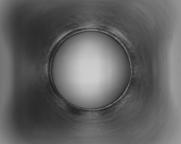 X0000102001216200807251239