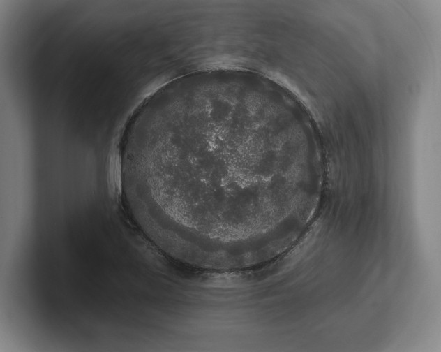 X0000102001219200807251239