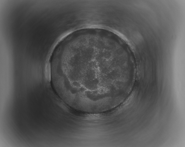 X0000102001223200807251239