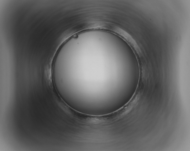 X0000102001234200807251239