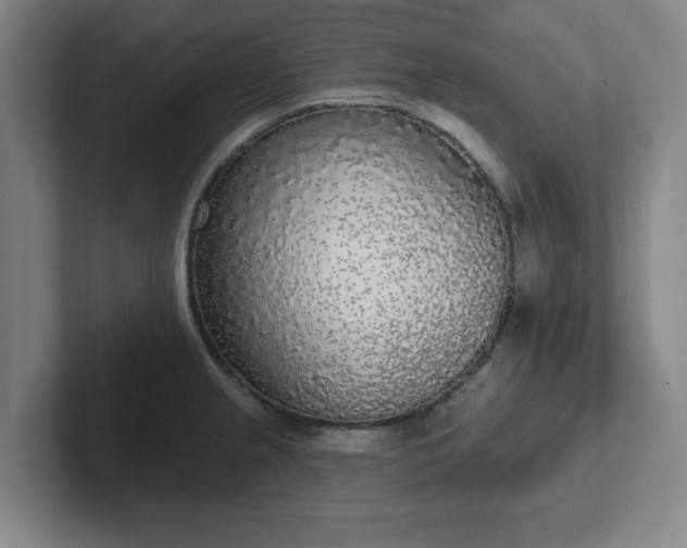 X0000102001237200807251239